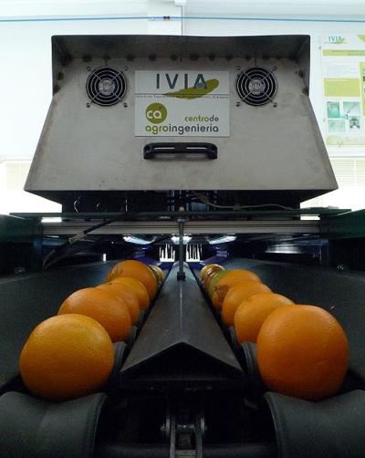 Fruit Inspection Machine