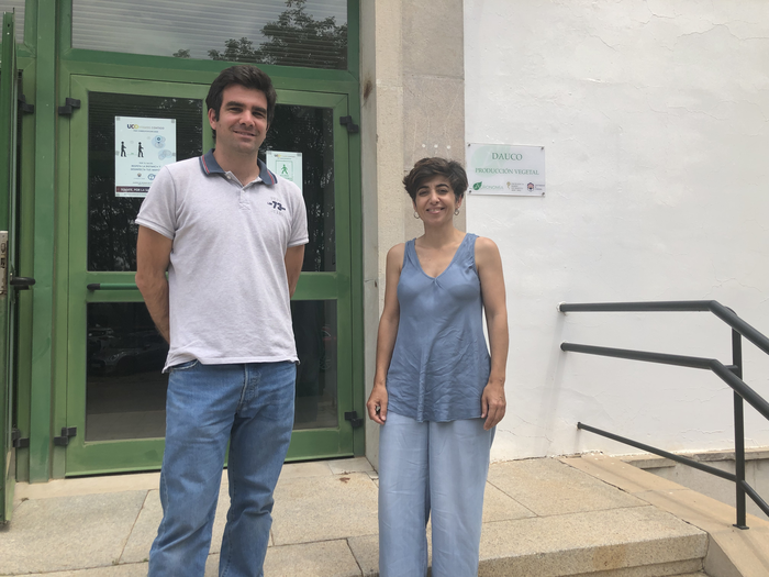 Researchers from University of Cordoba