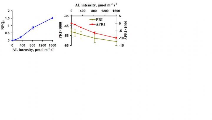 Fig. 2. the Dependence of the Severity of Photosynthetic Stress (NPQF)