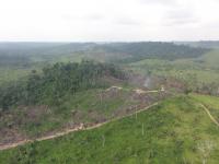 Secondary Forest Conservation