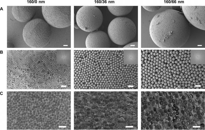 Microstructures of Supraballs