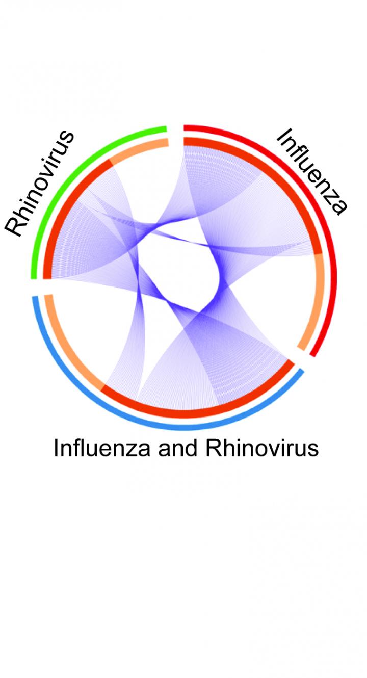 Infection Interactions