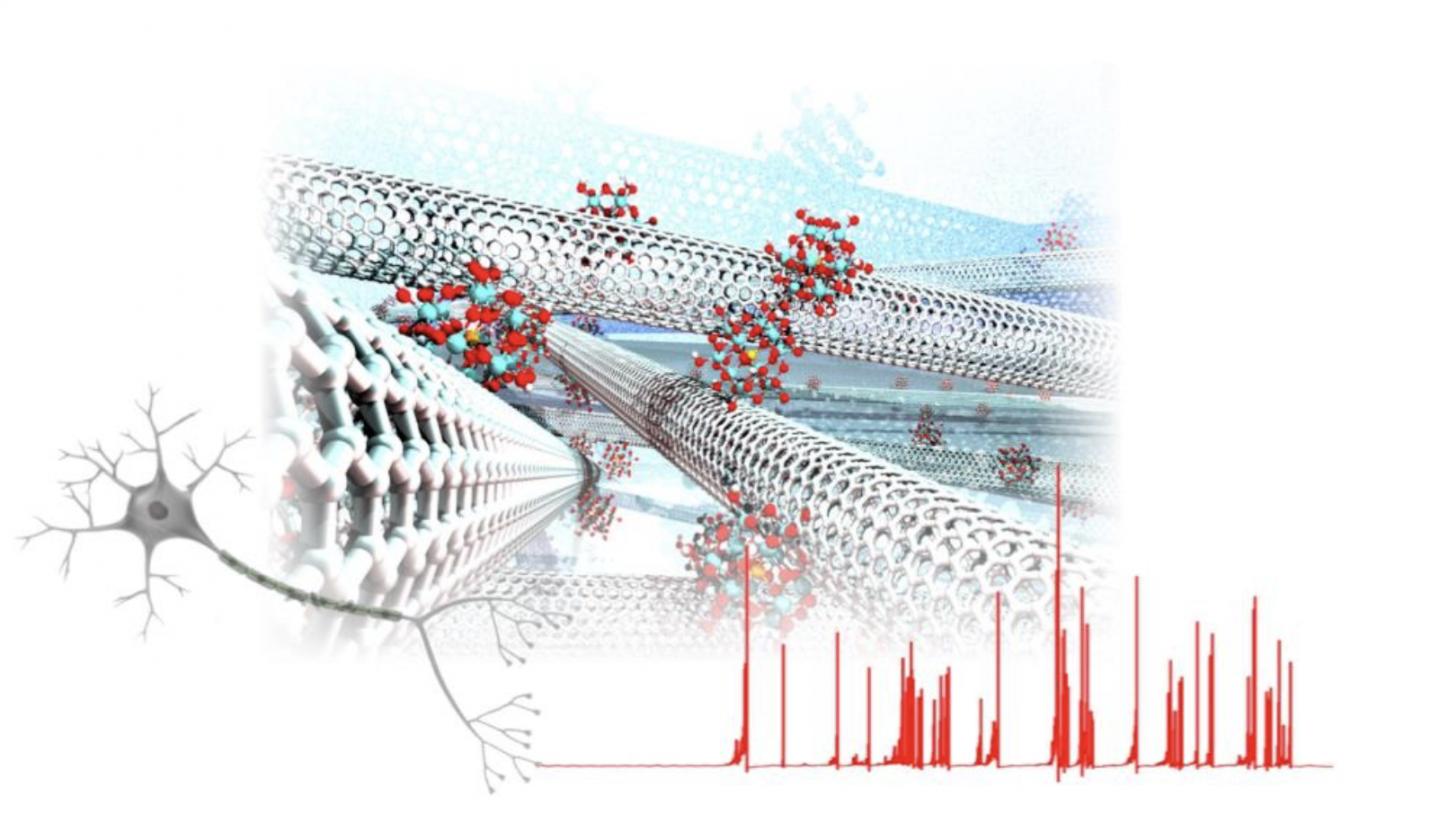 Fig.1: Spontaneous Spikes