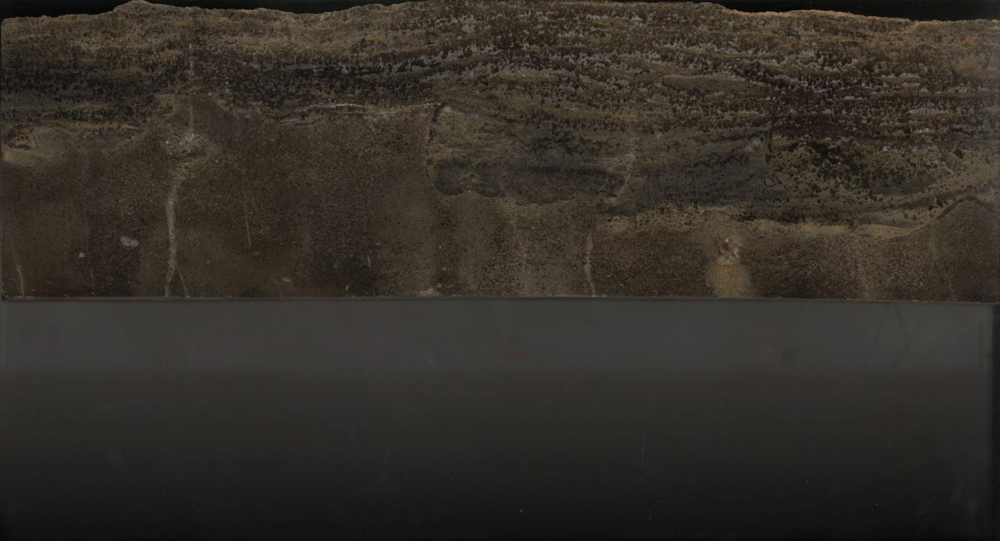 Permian-Triassic Transition