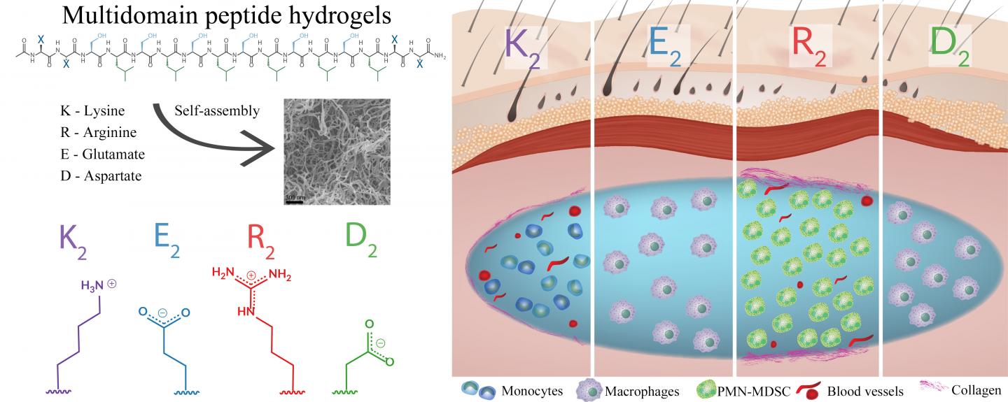 HYDROGEL 1