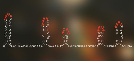 Scientists Discover Viral 'Enigma Machine'