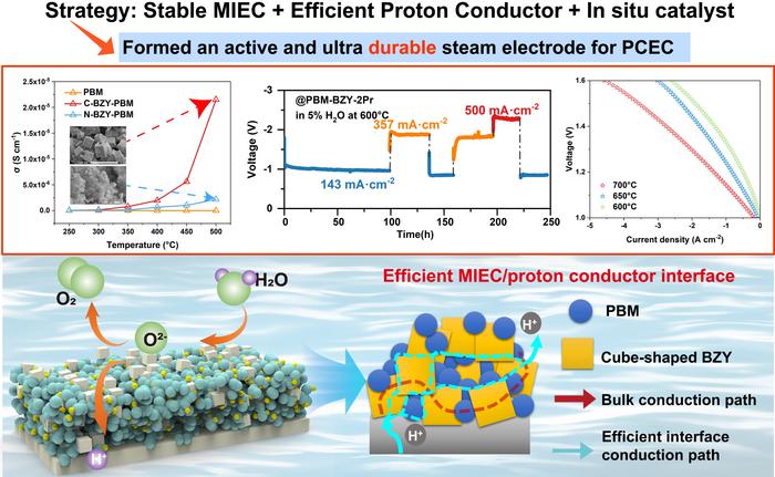 Breaking the traditional interface design: Regular interface engineering enhances efficient proton transfer and long-term stability of proton ceramic electrolyte cells with composite steam electrodes