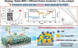 Breaking the traditional interface design: Regular interface engineering enhances efficient proton transfer and long-term stability of proton ceramic electrolyte cells with composite steam electrodes