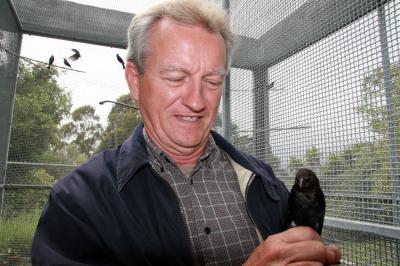 Adrian O'Loghlen, University of California - Santa Barbara