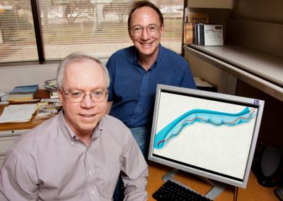 Steve Granick and Kenneth Schweizer, University of Illinois at Urbana-Champaign