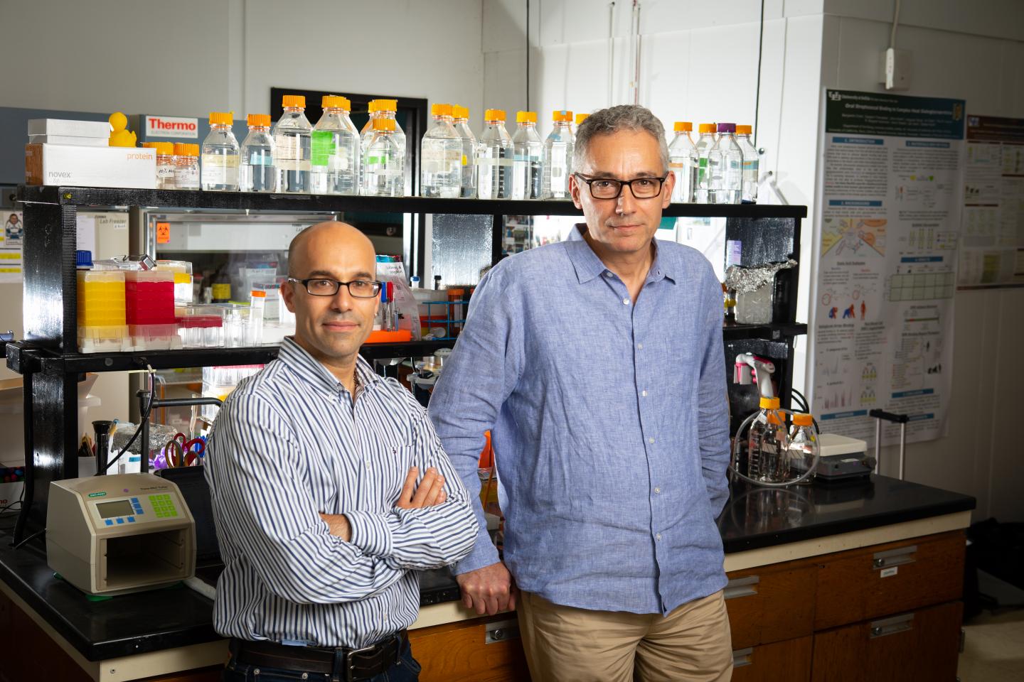 Portrait of Researchers