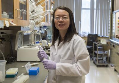 New International Student Research Fellow