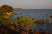 Lake Victoria Water Study