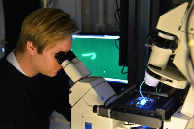 Markus Harasim,  Technische Universitaet Muenchen 