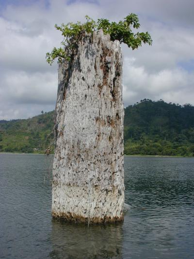 West Africa Has Seen Many Severe Droughts (1 of 5)