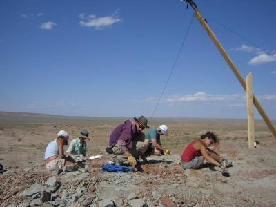 Mongolian Dinosaur Find