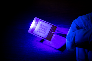NTU Singapore scientists create ultra high performance flexible ultraviolet sensors for use in wearables