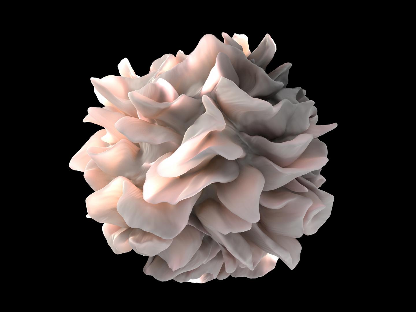 Recruiting Dendritic Cells for Cancer Fight