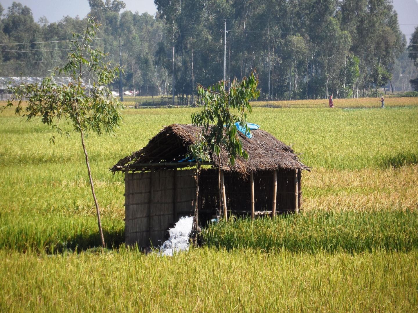 Groundwater Fed Irrigation