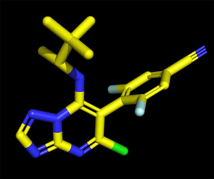 Molecule