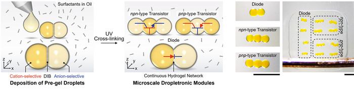 Fabrication of dropletronic devices