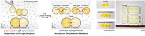 Fabrication of dropletronic devices