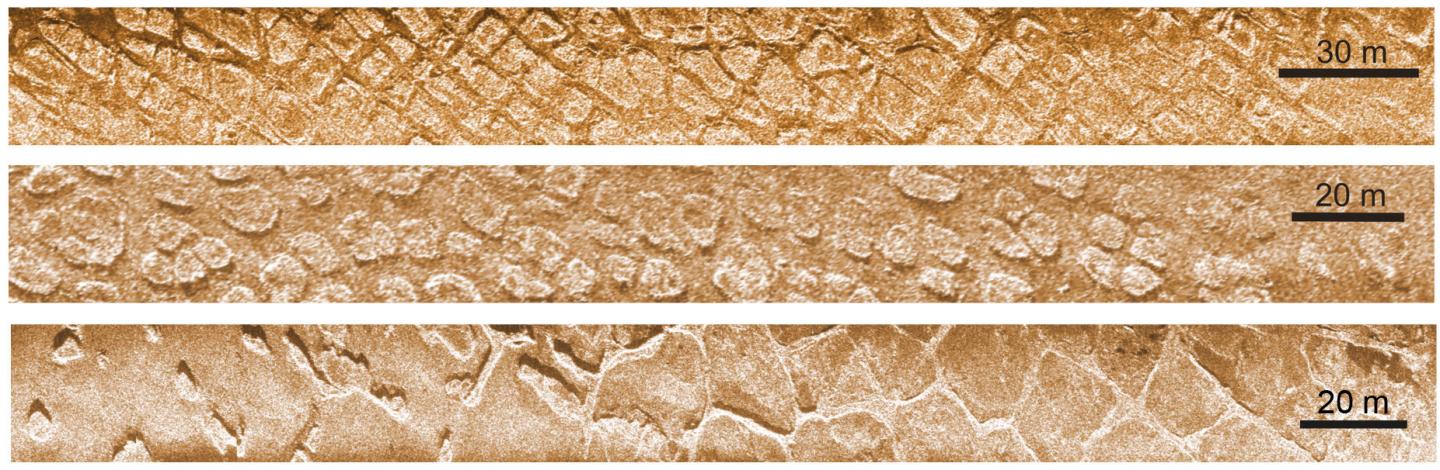 Frost Polygons in the Laptev Sea