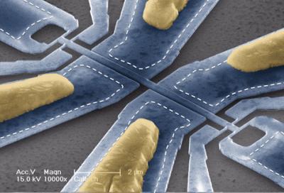 Molecule-weighing Device