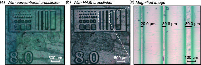 Rapid high-resolution 3D print [IMAGE] | EurekAlert! Science News Releases