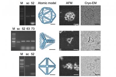 MIT DNA Origami (2 of 2)