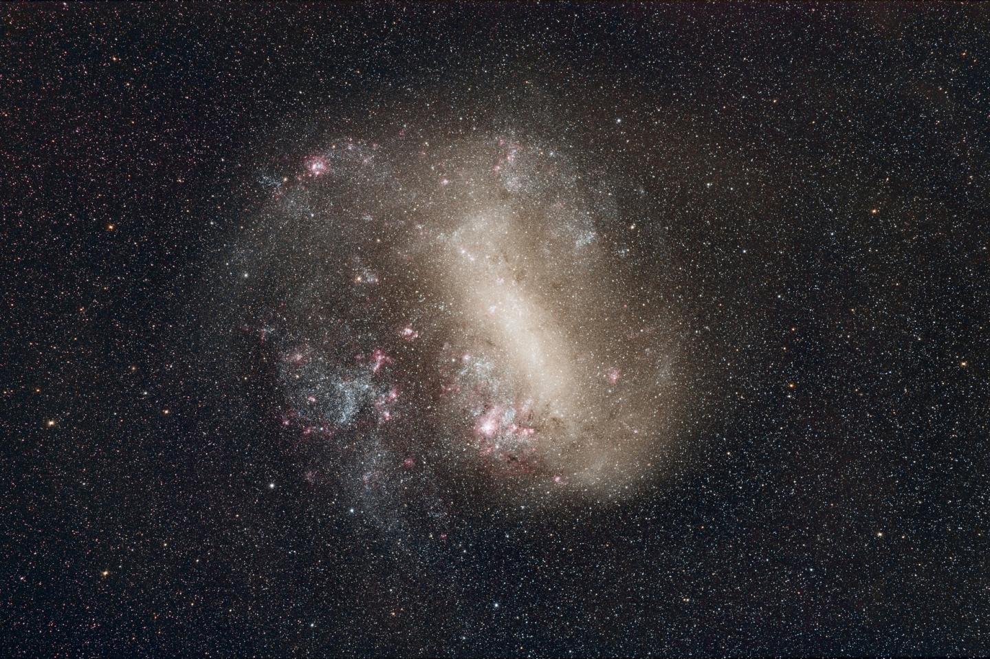 The Large Magellanic Cloud
