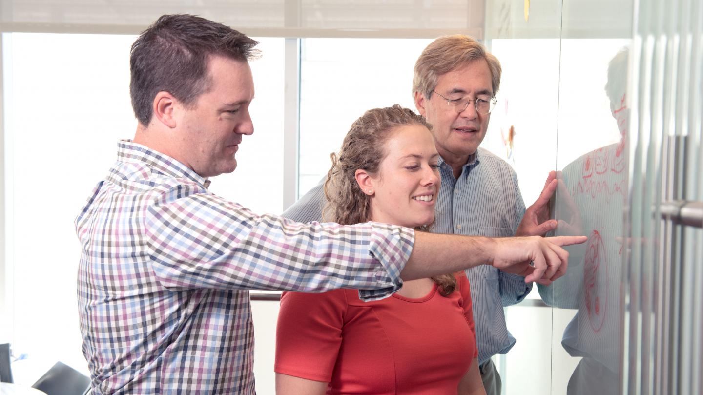 Gladstone Scientists Mimic the Earliest Stages of Human Development