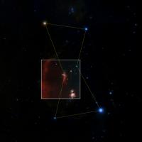 ZTF - Orion in Context