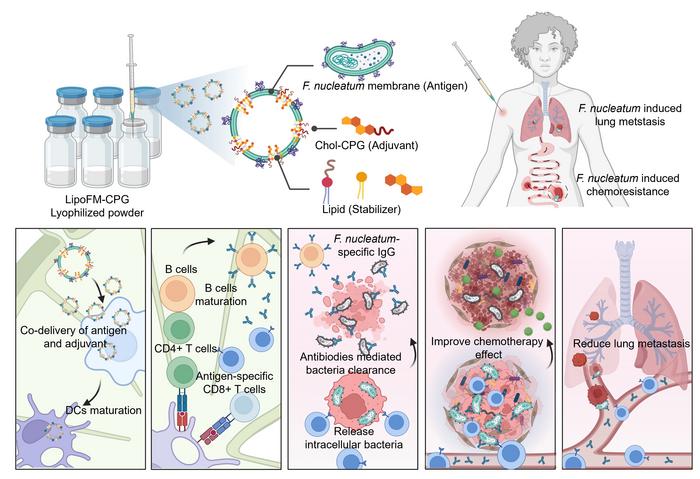 Novel Nanovaccine Enhances Cancer Treatment by Targeting Intratumoral Bacteria