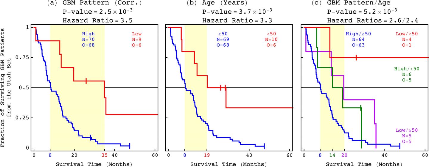 A Predictor of a GBM Patient's Life Expectancy
