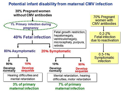 図1.サイトメガロウイルスの母子感染と出生児障害リスク