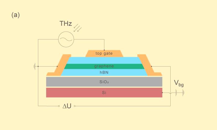 Figure 1. Wiring diagram of a Graphene-based Terahertz Detector