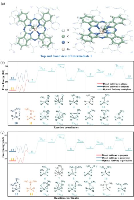 Figure 4	DFT calculation for activating methane of TaPc/C3N4. (a) the optimized structure of bridge N-CH2-Ta; (b)(c) The superior pathway Gibbs energy scheme with each step including transition state.