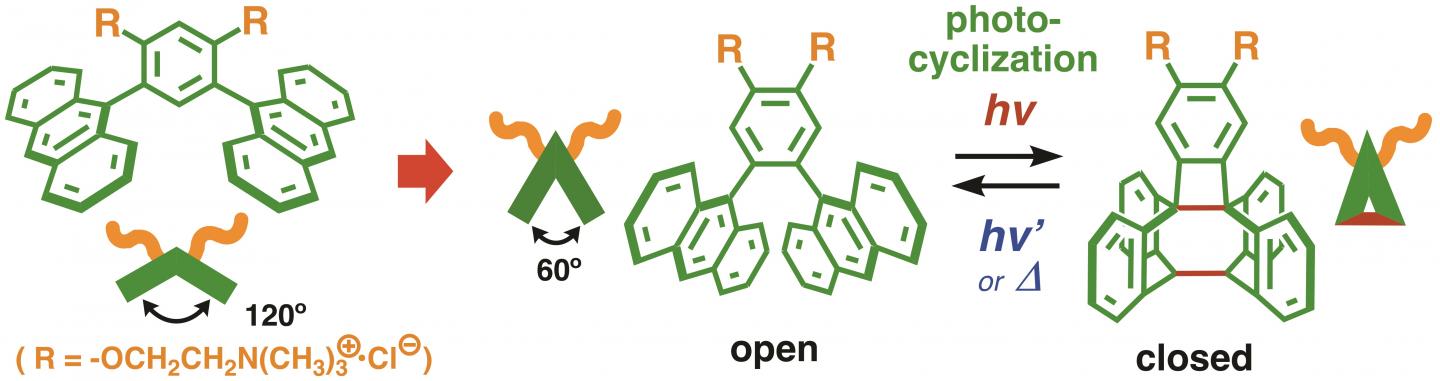 Figure 2: Design of the New Amphiphilc Compound Bearing a Photoswitch