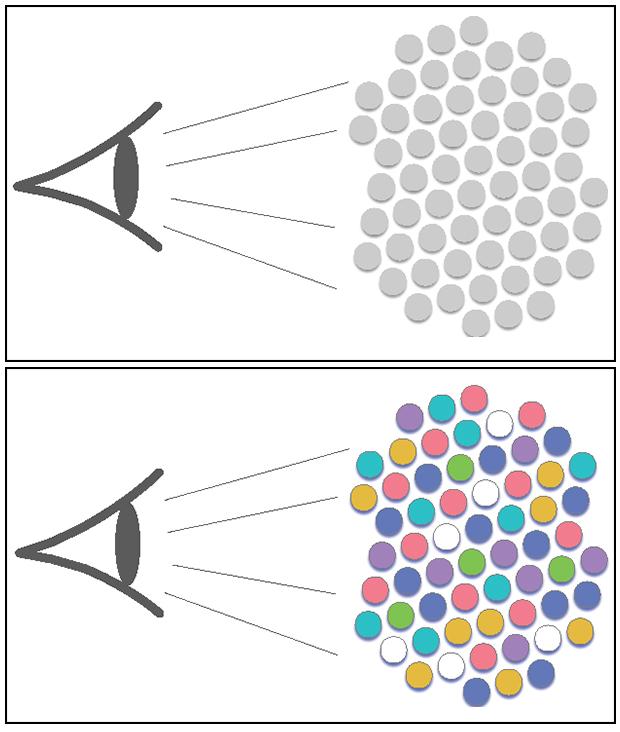 Group Vs. Individual Perception