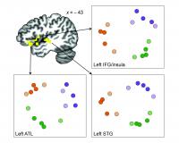 Brain Temporal Associations