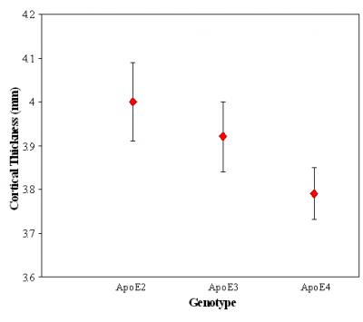ApoE Variant/Entorhinal Cortex Thickness