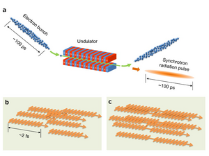 Generation of light wave packets by undulator