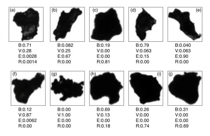 Figure 3 Results of the Convuluted Neural Network