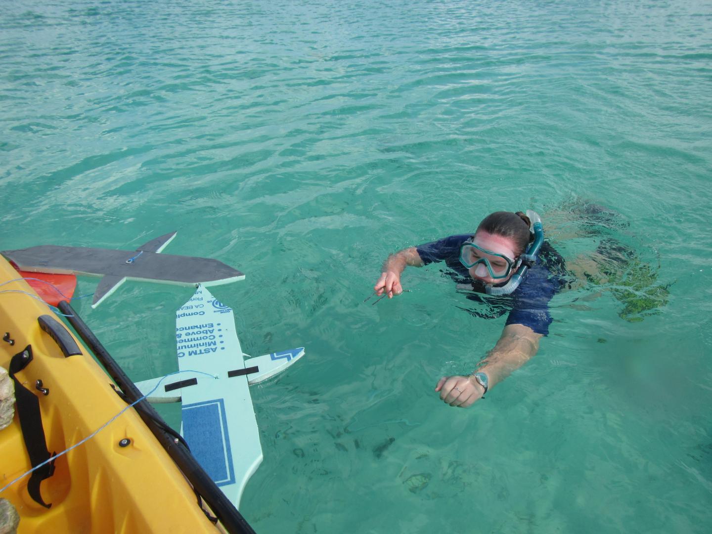 Placing Decoy Sharks At A Research Site