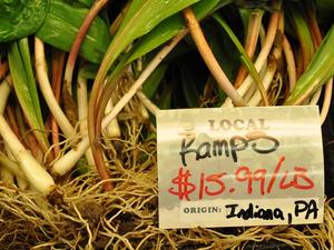 Ramps on sale at a food co-op in Pittsburgh