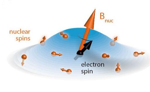 Nuclear Environment for Qubit