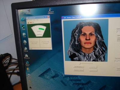 Therapist's View of Avatar Therapy