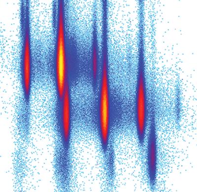 Secondary Beam Cocktail for Mg-40 Experiment