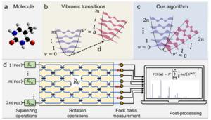 A squeezed vacuum state and a linear photonic network for molecular vibronic spectroscopy